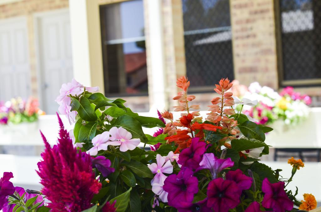 Golden Beach Motor Inn, Caloundra Ngoại thất bức ảnh